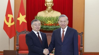 دبیرکل، تو لام، رئیس اداره تبلیغات مرکزی حزب کمونیست چین را به حضور پذیرفت