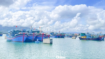 Было объявлено об открытии рыболовецкого порта Ниньхай, совмещенного с укрытием от штормов.