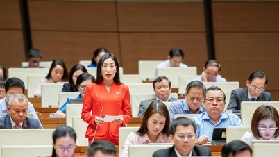 Delegáti Národního shromáždění se obávají živých přenosů falešné reklamy celebrit