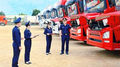 รายได้งบประมาณของเขตศุลกากร XVI สูงถึง 223% ของเป้าหมายประมาณการทั้งปี