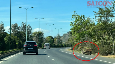 לאם דונג: בניית כביש שירות לכביש המהיר ליין קואנג-פרן