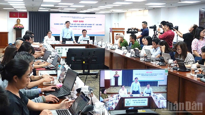 Πολλές συναρπαστικές δραστηριότητες στο 2ο Φεστιβάλ Καβουριού Ca Mau