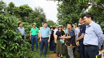 Urychleně zavést řešení pro přizpůsobení se nařízení EUDR
