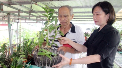 ឃុំ Hoang Van៖ គេចផុតពីភាពក្រីក្រជាមួយកម្ចីអនុគ្រោះ