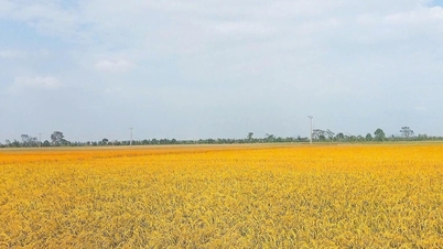 រឿងរ៉ាវនៃមាត្រដ្ឋាន