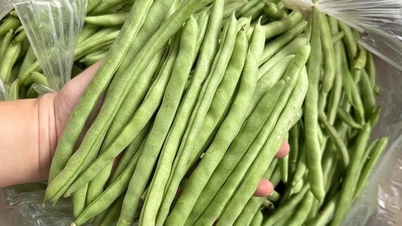 ຜັກກາດແມ່ນແຊບກວ່າໃນລະດູໜາວ, ຊ່ວຍຮັກສາລະດັບນໍ້າຕານໃນເລືອດ. ເພີ່ມຄໍາແນະນໍານີ້ໃນເວລາກະກຽມແລະທ່ານຈະຕິດ.