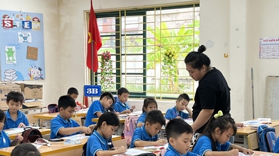 وقف عمليات دمج المدارس بما يتجاوز المستويات المسموح بها