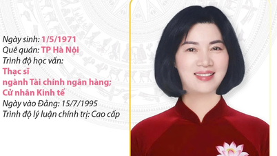 Secretar adjunct al Comitetului de Partid al orașului, președinta Consiliului Popular din Hanoi, Phung Thi Hong Ha