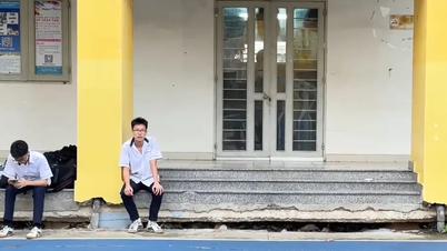 Департамент сільського господарства та навколишнього середовища міста Хошимін назвав причину швидкого занурення міста.