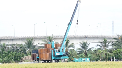 Masih terdapat 7 jawatan asas untuk projek talian penghantaran Hai Phong - Thai Binh 500kV yang masih belum diserahkan.