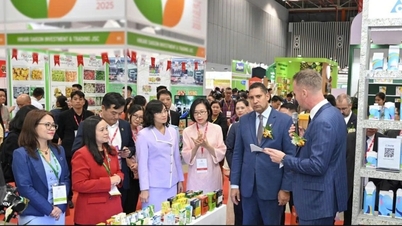 سویڈش فوڈ پروسیسنگ اور پیکیجنگ ٹیکنالوجی سے جامع معیار