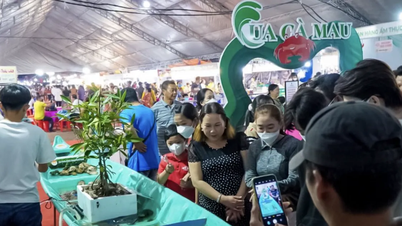 Φεστιβάλ "Hello Ca Mau" στην πόλη Χο Τσι Μινχ