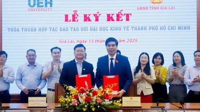 Gia Lai សហការជាមួយសាកលវិទ្យាល័យសេដ្ឋកិច្ចទីក្រុងហូជីមិញ បណ្តុះបណ្តាលធនធានមនុស្សប្រកបដោយគុណភាពខ្ពស់។