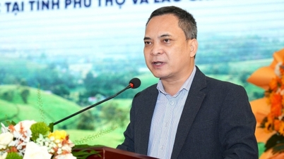 ការកែលម្អប្រសិទ្ធភាពការប្រើប្រាស់ជីឆ្ពោះទៅរកការកាត់បន្ថយការបំភាយឧស្ម័ន