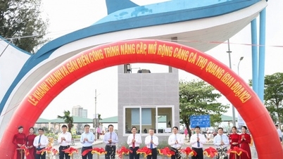 ទីក្រុង Da Nang សម្ពោធគម្រោងកែលម្អ និងពង្រីកកំពង់ផែនេសាទ Tho Quang ដំណាក់កាលទី២