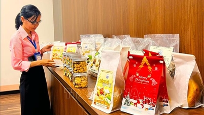 Aumentar el valor de los árboles de pan, incrementar la eficiencia económica para los agricultores