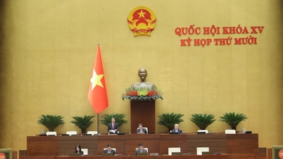 Пресс-релиз № 20, 10-я сессия, 15-е Национальное собрание