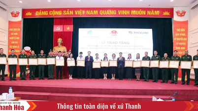 Thanh Hoa cuenta con 3 profesores destacados que recibieron Certificados de Mérito del Ministro de Educación y Formación.