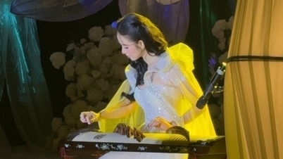 Model Huong Lien speelt gitaar en wordt op haar bruiloft gedragen door haar CEO-echtgenoot, die 12 jaar ouder is dan zij.