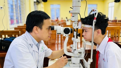 روشن آنکھوں کی دیکھ بھال