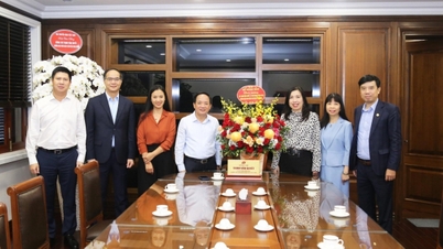 Utrikesministeriet gratulerar den nya chefen för den centrala propaganda- och massmobiliseringskommissionen Trinh Van Quyet