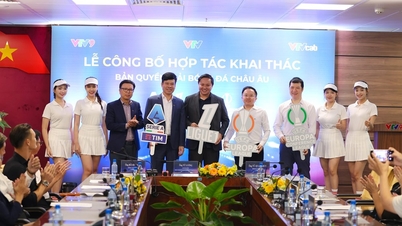 Los aficionados pueden ver las 4 principales ligas de fútbol europeas gratis en VTV9.