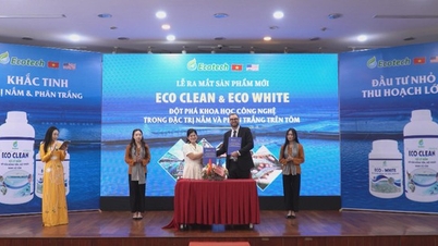 របកគំហើញថ្មីក្នុងឧស្សាហកម្មចិញ្ចឹមបង្គា