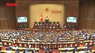 [វីដេអូ] រដ្ឋសភាអនុម័តសេចក្តីសម្រេចចិត្តស្តីពីផែនការអភិវឌ្ឍន៍សេដ្ឋកិច្ច-សង្គមឆ្នាំ២០២៦