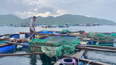 Stärkung des Managements und der Korrektur der Aquakulturaktivitäten in der Provinz