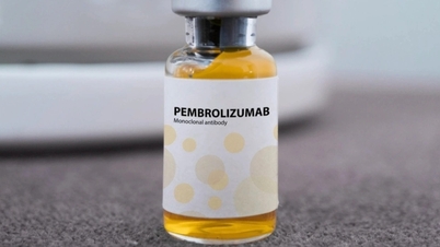 ថ្នាំមហារីក "កំណែជាភាសារុស្សី" នឹងមានលក់នៅប្រទេសវៀតណាមនៅឆ្នាំ 2026