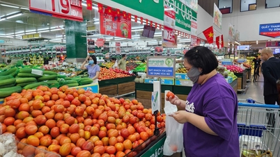 ទីក្រុងហូជីមិញ៖ ការលើកកម្ពស់ការប្រើប្រាស់ចុងឆ្នាំជាមួយនឹងកម្មវិធីផ្សព្វផ្សាយជាបន្តបន្ទាប់