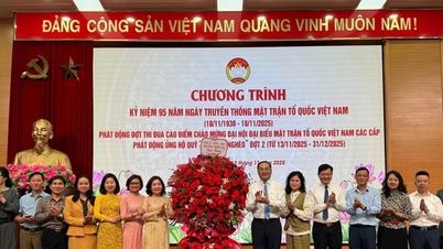 Dong Da berkompetisi untuk menyambut Kongres Front Tanah Air