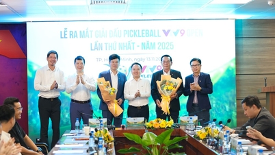 Bonus Besar di Kejohanan Pickleball Terbuka VTV9 2025