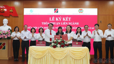 សាខា Agribank Yen Bai បានចុះហត្ថលេខាលើកិច្ចព្រមព្រៀងអន្តរវិស័យ ដើម្បីអនុវត្តគោលនយោបាយឥណទាន ដើម្បីបម្រើដល់ការអភិវឌ្ឍន៍កសិកម្ម និងជនបទ។