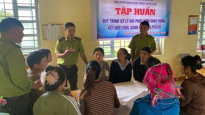 آموزش روش‌های مقابله با آتش‌سوزی جنگل برای ۳۳۰ نفر از مردم محلی