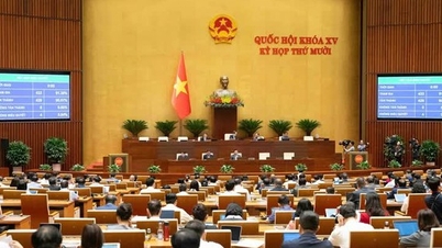 Wissenschaft, Technologie, Innovation und digitale Transformation: Wichtige Triebkräfte für das Wirtschaftswachstum