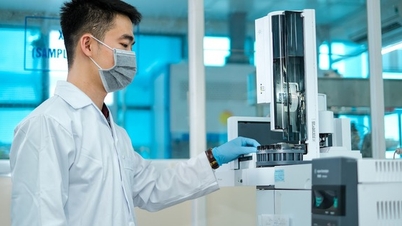 Știința, tehnologia, inovația și transformarea digitală: factorii cheie ai noului model de creștere