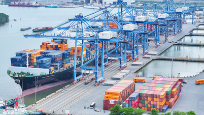 Transformasi digital dalam logistik: Dari pelabuhan pintar hingga rantai pasokan digital