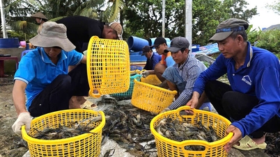 Trabajo secundario durante la temporada baja de la agricultura
