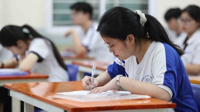 Приём в университеты в 2026 году: Министерство образования и профессиональной подготовки проводит опрос университетов по оценке академической успеваемости