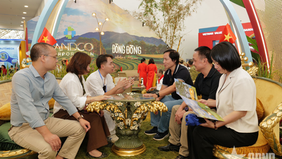 שאיפה לאינטגרציה ופער מדיניות של ריהוט וייטנאמי