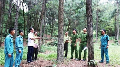 أخبار خاصة من صحيفة هانوي موي بتاريخ 14 نوفمبر 2025