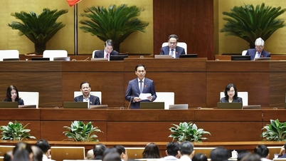 កាលពីថ្ងៃទី ១៤ ខែវិច្ឆិកា រដ្ឋសភាបានស្តាប់លោកប្រធានាធិបតីបង្ហាញសំណើសុំសច្ចាប័នលើកិច្ចព្រមព្រៀងទំនាក់ទំនងបរទេស។