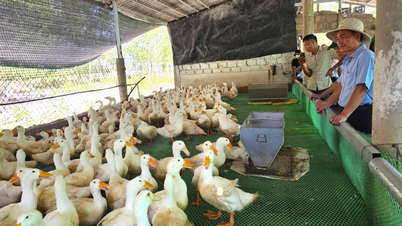 कृषि विकास में कृषि विस्तार की भूमिका की पुष्टि