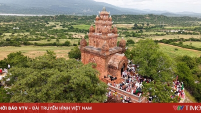 Kate - Sezon festiwalowy w słonecznej i wietrznej krainie