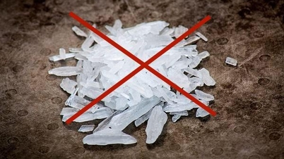 薬物乱用を根絶するための全力