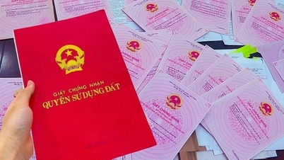 សេចក្តីណែនាំអំពីរបៀបប្រកាសព័ត៌មានសៀវភៅក្រហមតាមរយៈ VNeID