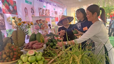 ឃុំក្រាំងអាន ខិតខំជួយប្រជាពលរដ្ឋឲ្យរួចផុតពីភាពក្រីក្រ