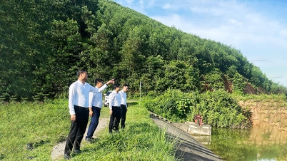 Dai Son se îmbogățește datorită modelului economic verde