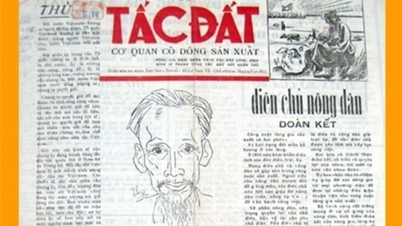 80 de ani de implementare a sfaturilor unchiului Ho din sectorul Agriculturii și Mediului prin prisma ziarului Agricultură și Mediu